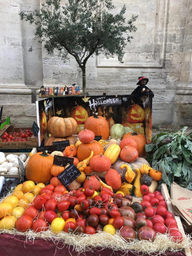 LʼIsle-sur-la-Sorgue Un Coin De Luberon 아파트 외부 사진