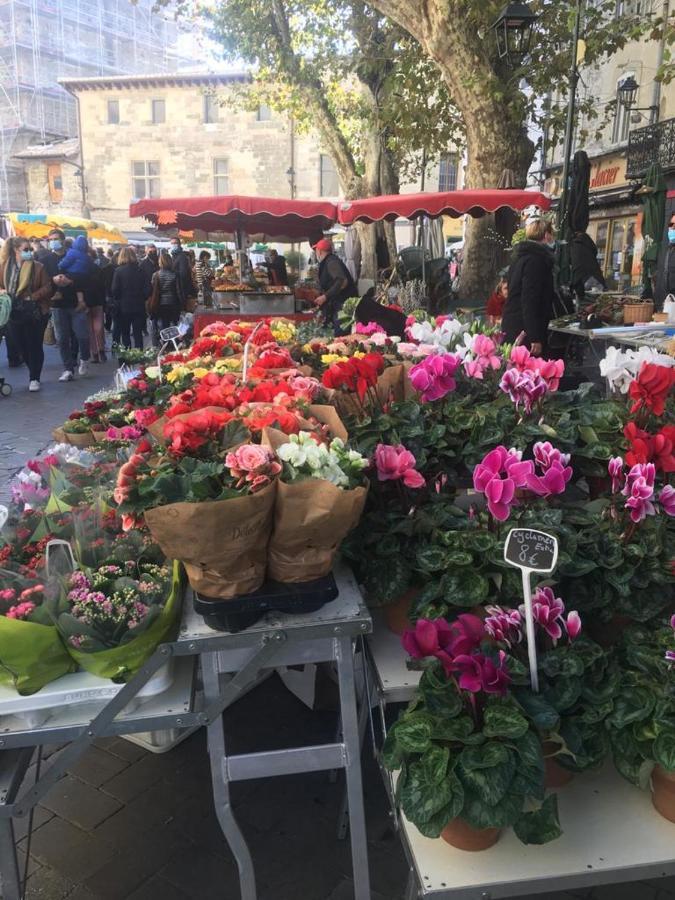 LʼIsle-sur-la-Sorgue Un Coin De Luberon 아파트 외부 사진