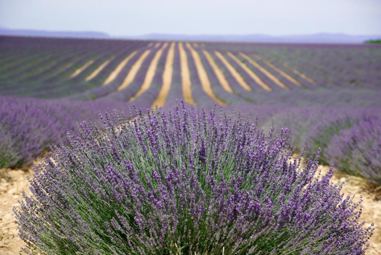 LʼIsle-sur-la-Sorgue Un Coin De Luberon 아파트 외부 사진